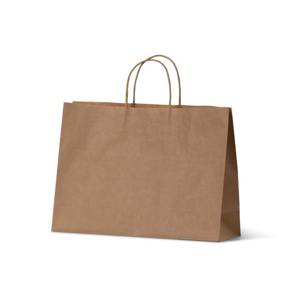 BSB Takeaway Paper Bag Kraft Leisure Coast Hospitality & Packaging