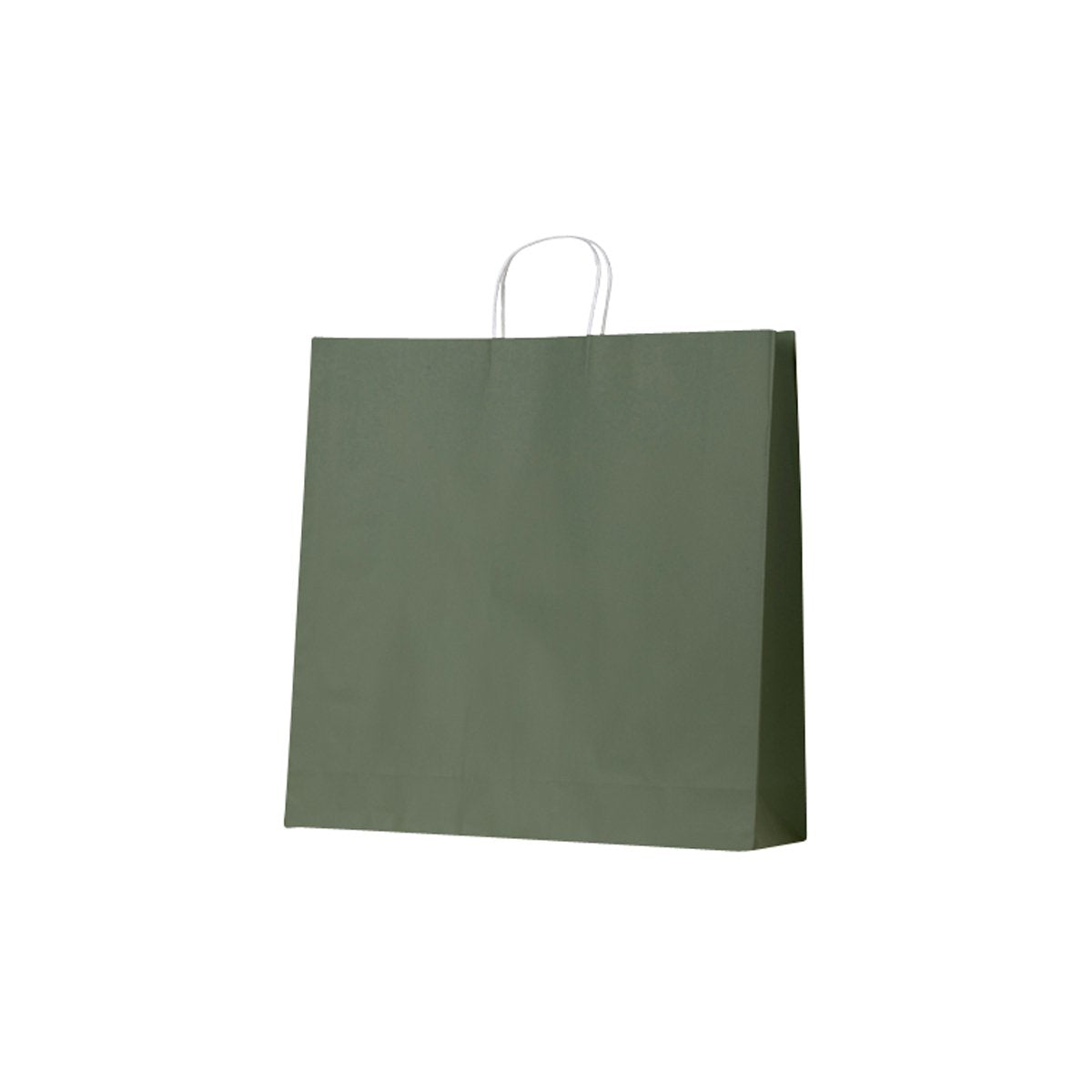 ECEGXL Earth Collection Paper Bags Earth Green X-Large 500x150x500mm (100/ctn) Leisure Coast Hospitality & Packaging Supplies