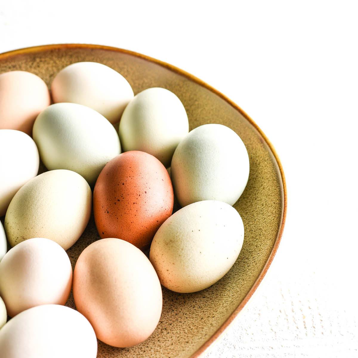 Sango Hospitality Ora Arica Leisure Coast Hospitality & Packaging