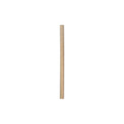 JP-PBS-10x197-KRAFT BioStraw Jumbo Straws Kraft 10x197mm Leisure Coast Hospitality & Packaging Supplies