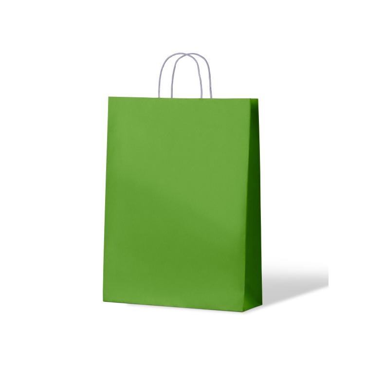 LLM Carnival Paper Bag Kraft Loud Lime Leisure Coast Hospitality & Packaging