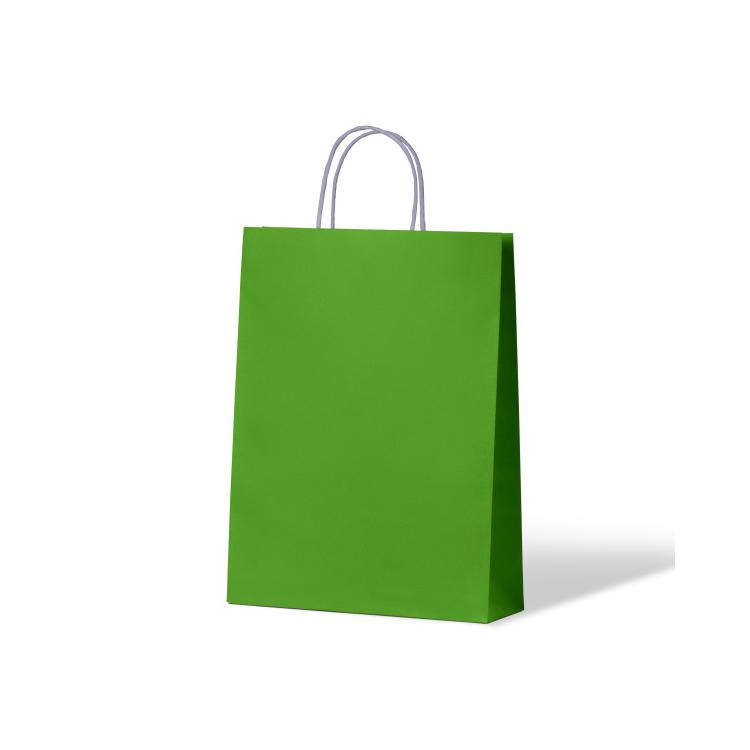 LLS Carnival Paper Bag Kraft Loud Lime Leisure Coast Hospitality & Packaging