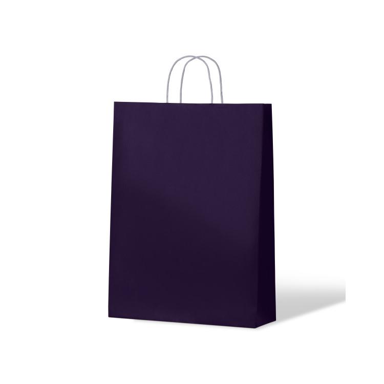 PPM Carnival Paper Bag Kraft Passion Purple Leisure Coast Hospitality & Packaging