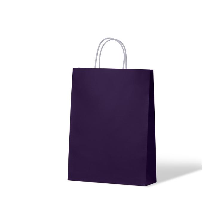 PPS Carnival Paper Bag Kraft Passion Purple Leisure Coast Hospitality & Packaging