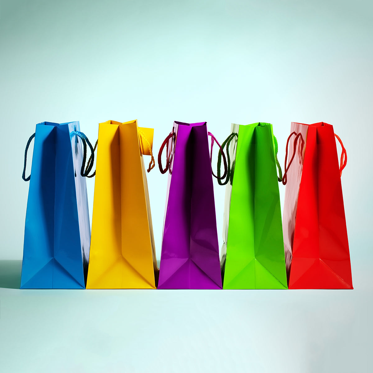 Carry Bags