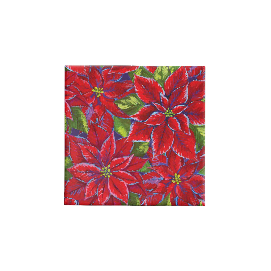 BW24 XPP Painted Poinsetia Gloss Wrap