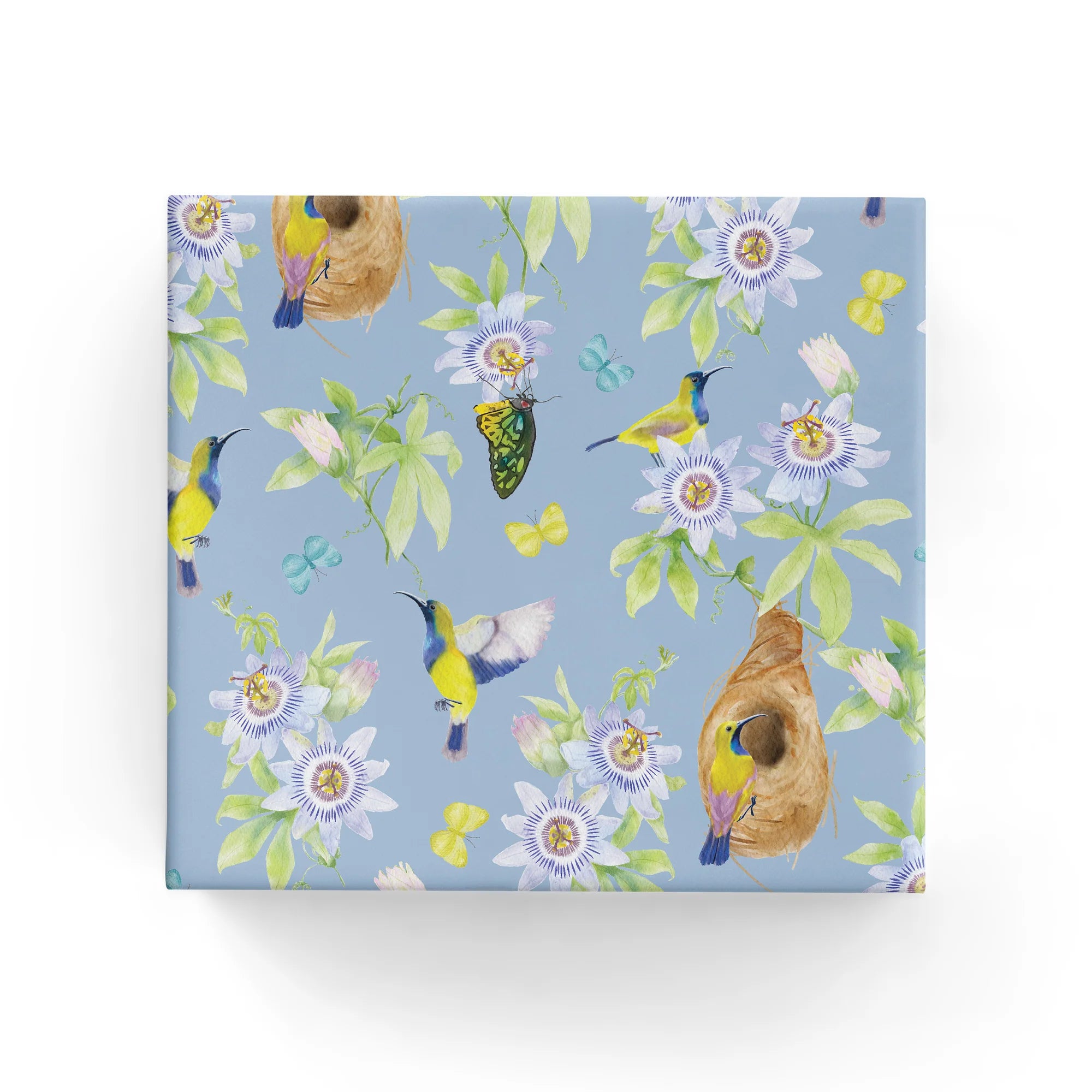 Passion flowers, butterflies and olive backed sunbirds
