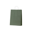 ECEGL Earth Collection Paper Bags Earth Green Large 310x110x420mm (100/ctn) Leisure Coast Hospitality & Packaging Supplies