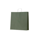 ECEGXL Earth Collection Paper Bags Earth Green X-Large 500x150x500mm (100/ctn) Leisure Coast Hospitality & Packaging Supplies