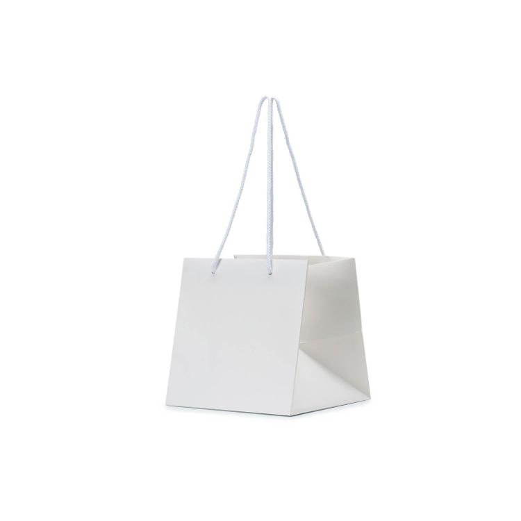EFC L WHI M Printed Laminated Art Paper Bag Large Leisure Coast Hospitality & Packaging