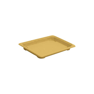 Sugarcane Sushi Tray Extra Large & Lid (sold separately)