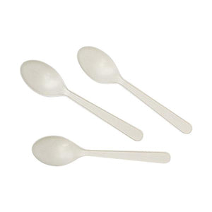 Plastic Cutlery