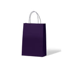 PPJ Carnival Paper Bag Kraft Passion Purple Leisure Coast Hospitality & Packaging